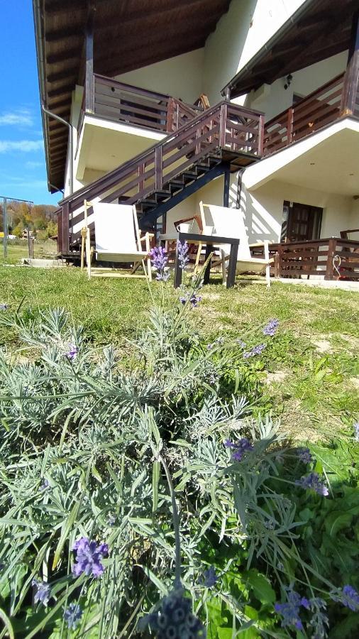 Apartman Draskovic - Goc Exteriör bild